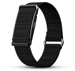 fitness band